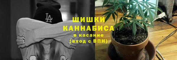 мет Нягань