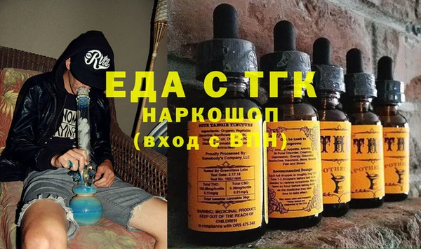 эйфоретик Няндома