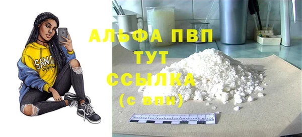 эйфоретик Няндома