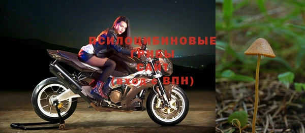 мет Нягань